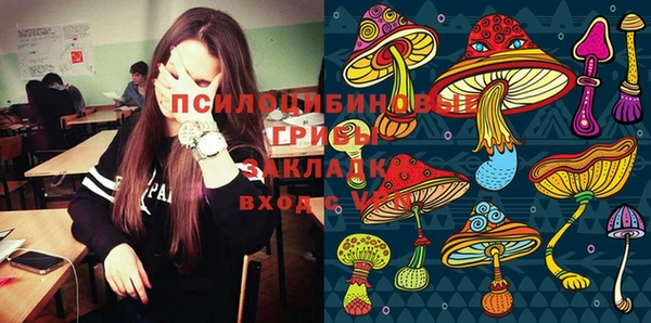 первитин Алексеевка