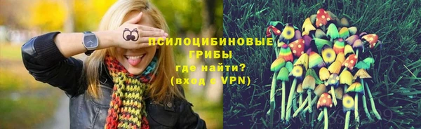 первитин Алексеевка