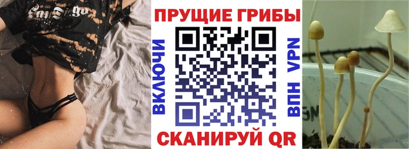 Галлюциногенные грибы Magic Shrooms  Анапа 