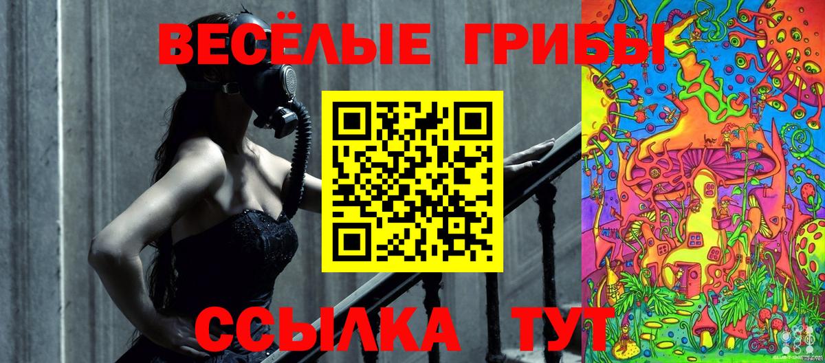 Галлюциногенные грибы Cubensis Анапа