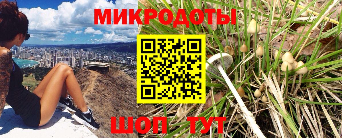 Псилоцибиновые грибы GOLDEN TEACHER  Вход с VPN  Анапа  Галлюциногенные грибы Magic Shrooms 
