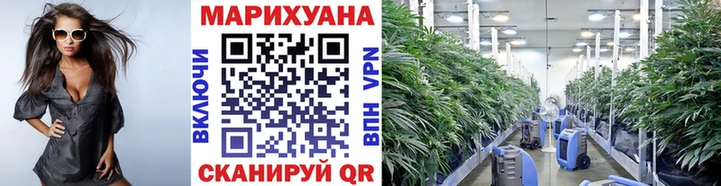 МАРИХУАНА Bruce Banner  Анапа 